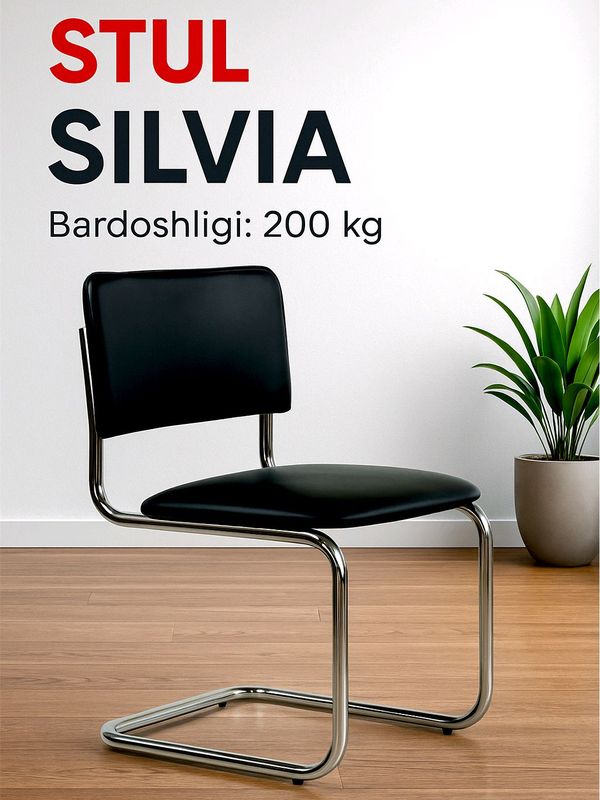 SILVIA stul  Etibor bering stenkasi 2 mm