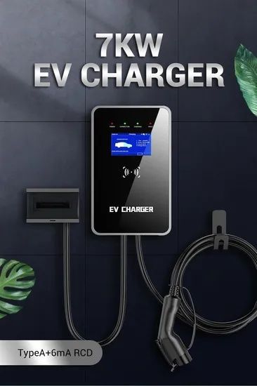 Unversal 7 kW orginal zaryadka lixiang zeekr zaryadka Unversal 7 kW orginal zaryadka lixiang zeekr zaryadka