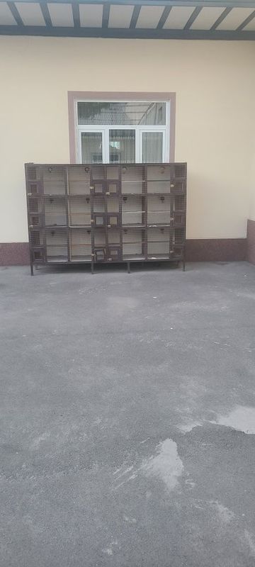 Qushlar uchun qafas karello papugaylarga Qushlar uchun qafas karello papugaylarga
