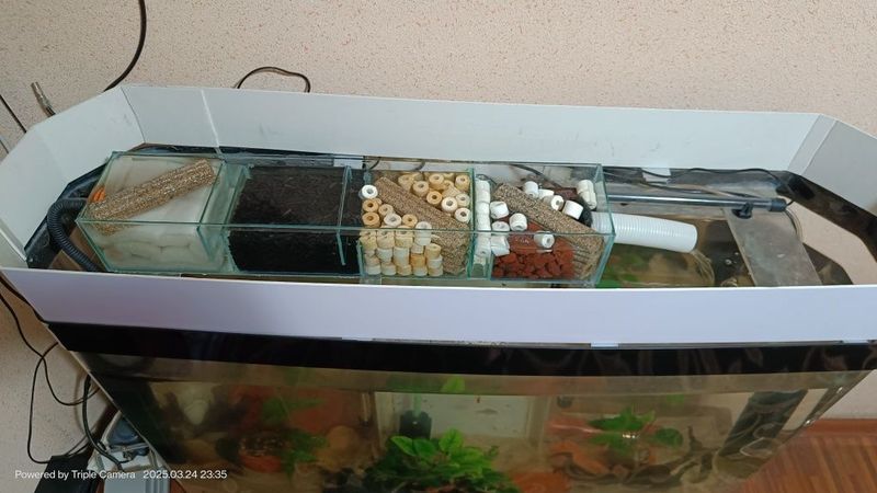 Akvarium Ulgurib qoling srochniy sotiladi+Bonus