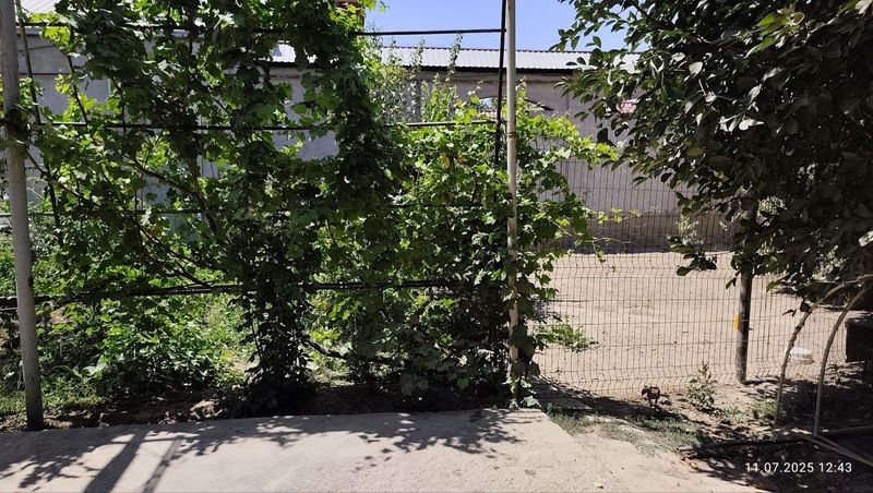 Limonaria mahallada yer sotiladi 2 sotixli masjidga 150 metr yaqin