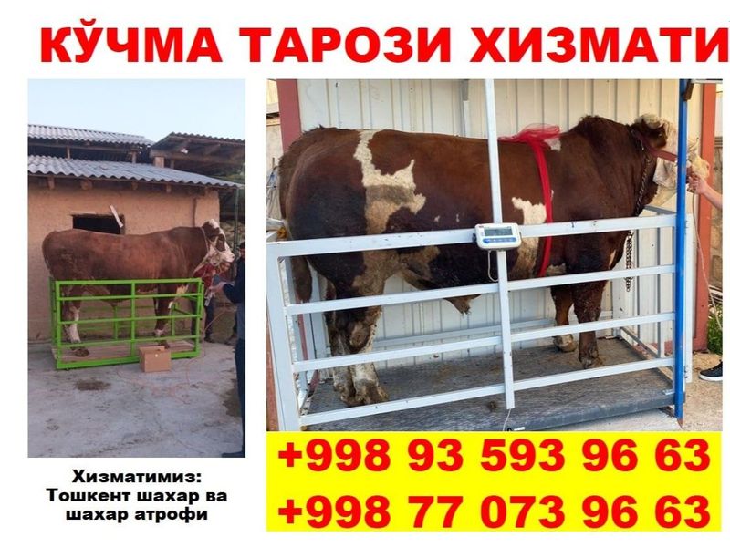 Кучма тарози хизмати Кучма тарози хизмати