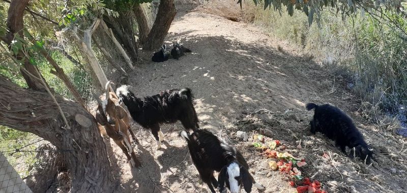 Gechilar 6ta kelishadigan yeri bo Gechilar 6ta kelishadigan yeri bo