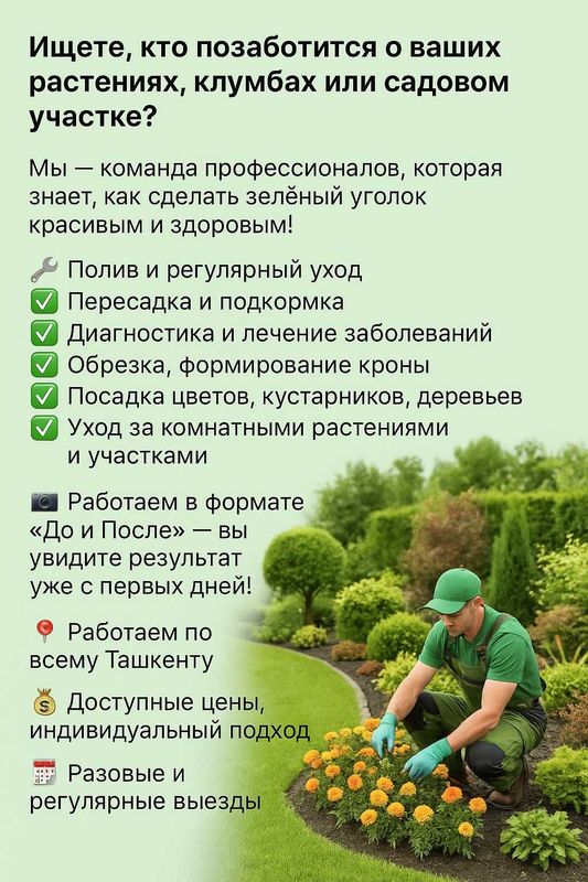 Уход за Вашими растениями | Посадка | Полив | Пересадка | Ташкент Уход за Вашими растениями | Посадка | Полив | Пересадка | Ташкент