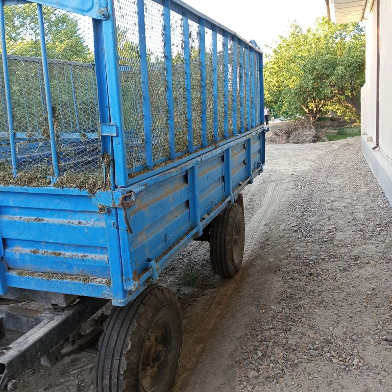Prisep telishka sotiladi Prisep telishka sotiladi