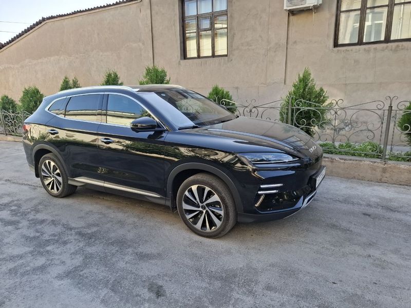 Byd chenpion 605 Byd chenpion 605