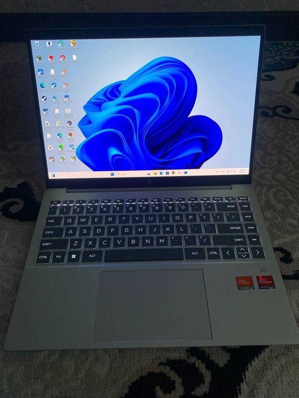 HP Pavilion plus 14