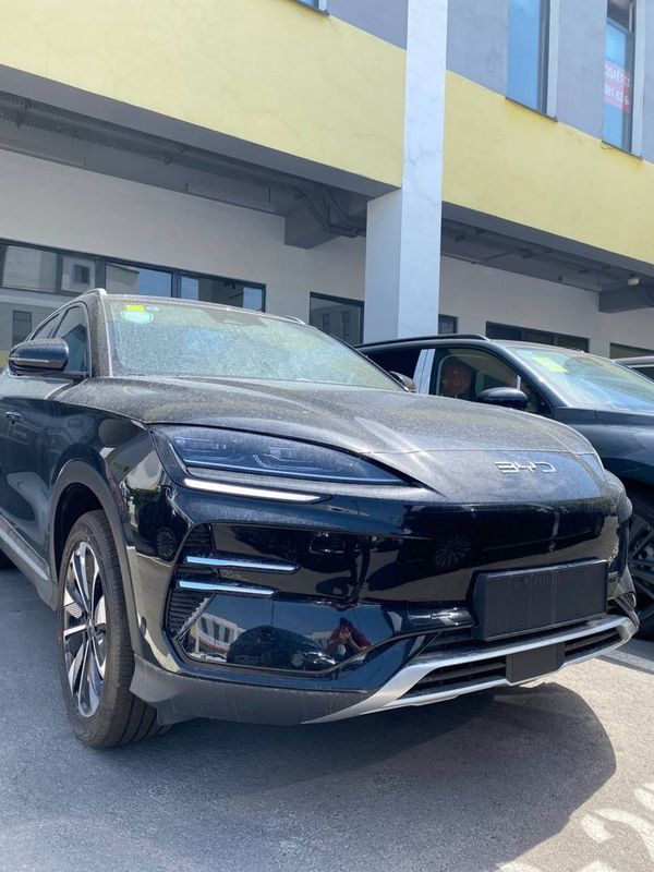 Byd Champion Restyling 24/25 Byd Champion Restyling 24/25