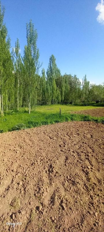 Продаётся 10 сотик октош Продаётся 10 сотик октош