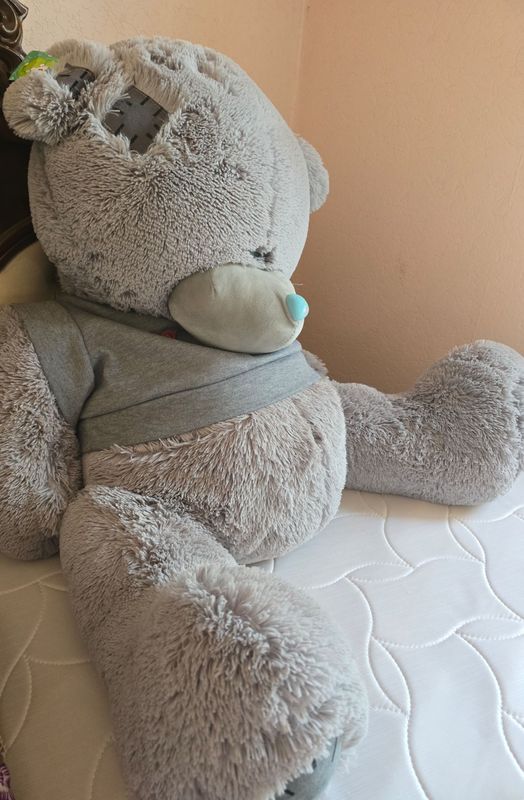 teddy ayiq teddy ayiq