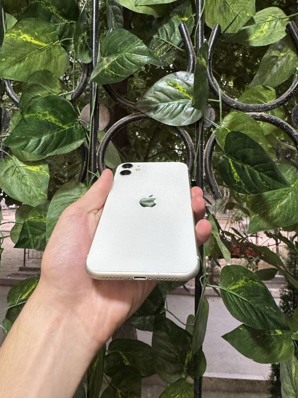 Iphone 11 xolati Iphone 11 xolati
