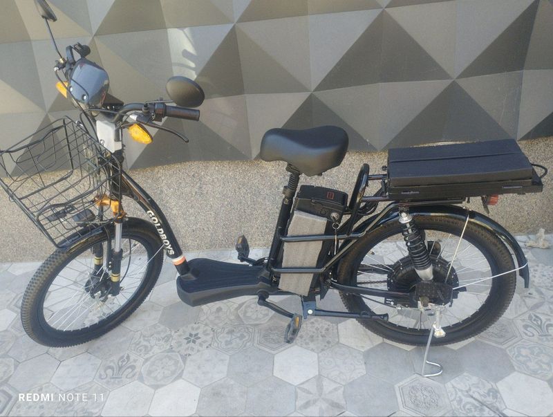 Elektrovelik sotiladi
