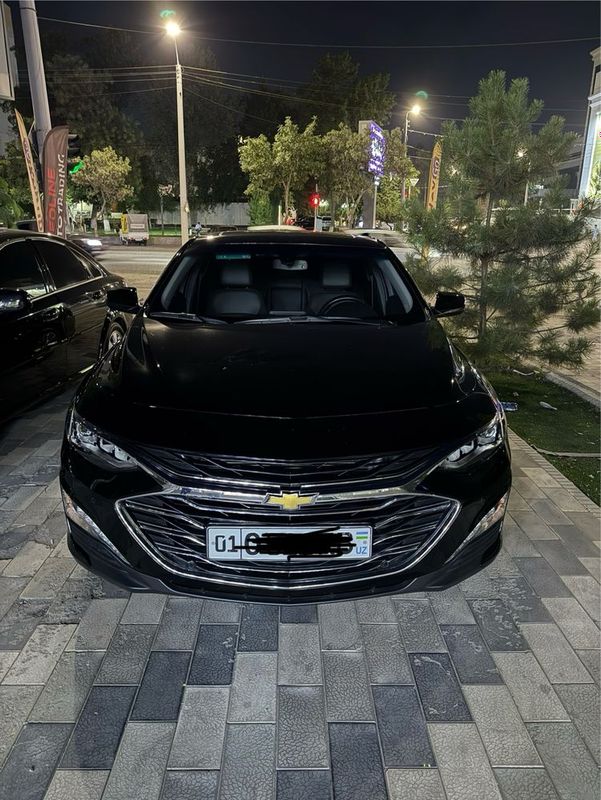 Malibu primer 2022 tozza Malibu primer 2022 tozza
