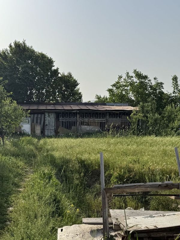 dacha sotiladi chirchiq dambadan 10 km qowqorgon qiwlogi dacha sotiladi chirchiq dambadan 10 km qowqorgon qiwlogi