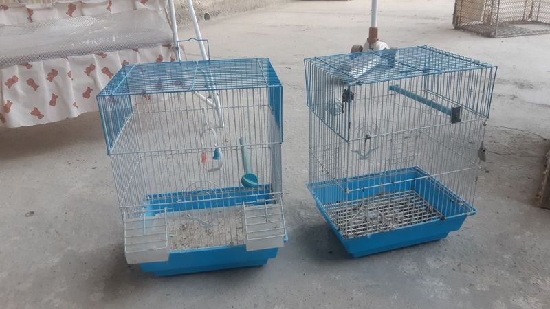 Qushlar uchun kletka Qushlar uchun kletka