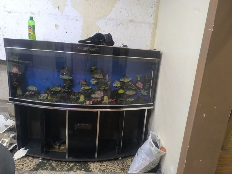 Akvarium yaxshi holatda Akvarium yaxshi holatda