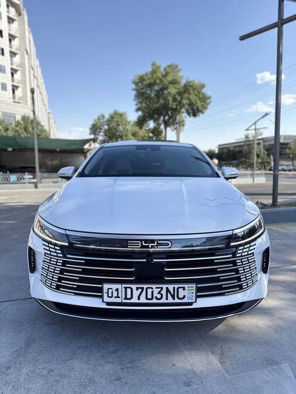 BYD Chazor 120 LI FLESHIP Eng fuli