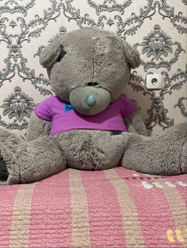 Teddy ayiq xolati ideal ! Teddy ayiq xolati ideal !