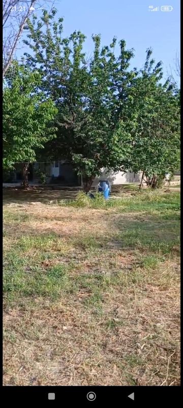 Сотилади Ер Ховли 6 сотих Янгиюл.13.000у.е Сотилади Ер Ховли 6 сотих Янгиюл.13.000у.е