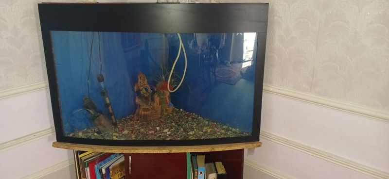 Akvarium sirochna sotildi Akvarium sirochna sotildi