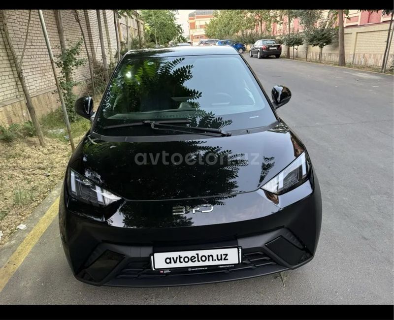 Byd seagull 405 km Fly Byd seagull 405 km Fly