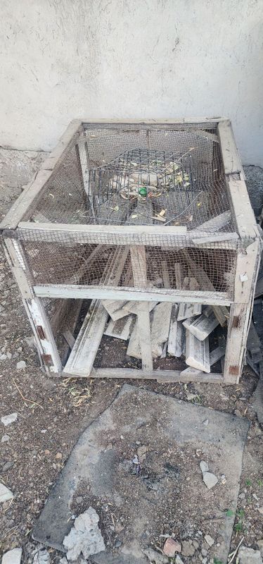 Juja katak sotiladi Juja katak sotiladi