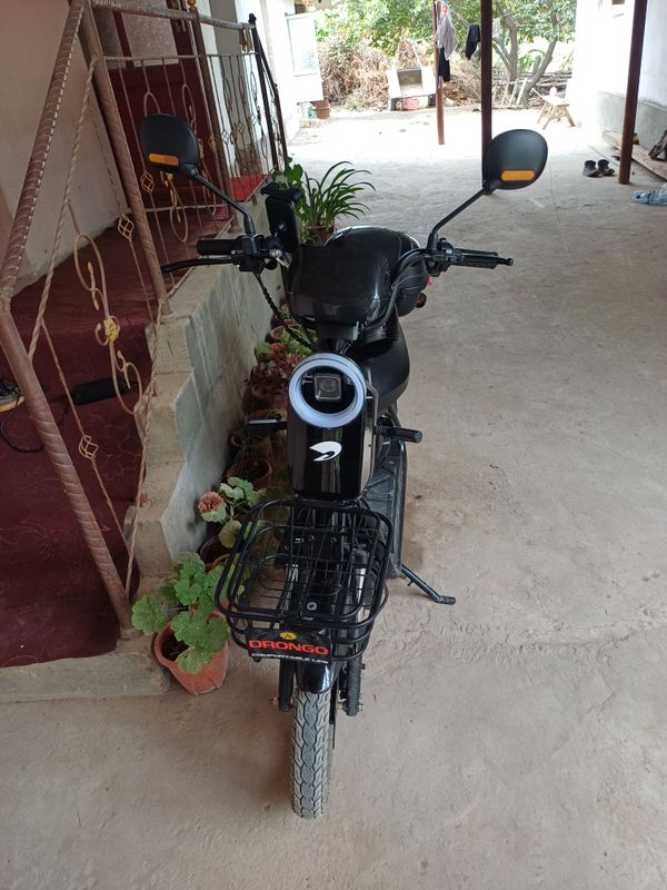 Drongo 14
