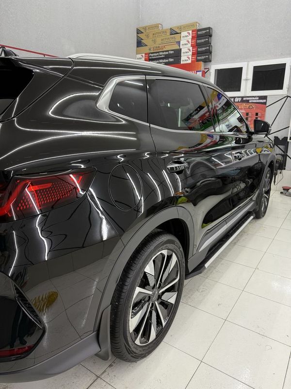 Byd champion 605