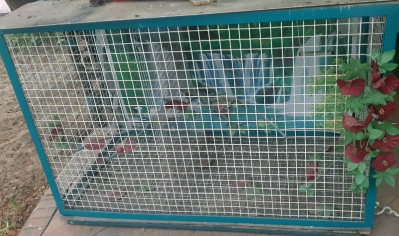 qush uychasi 100×50 qush uychasi 100×50