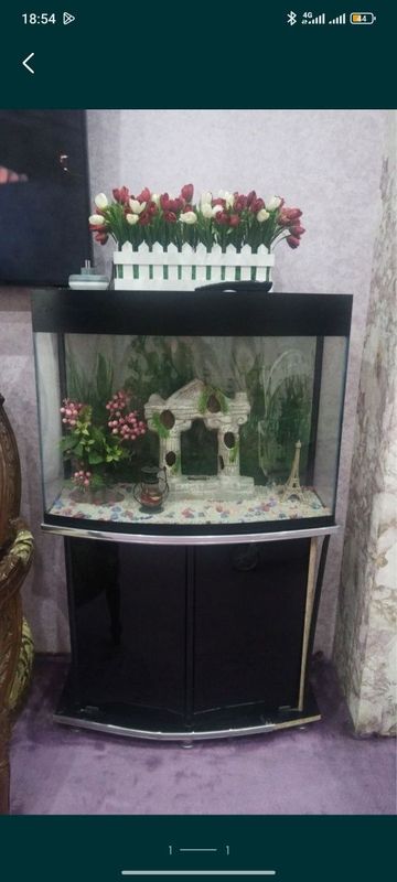 akvarium ideal holatda iwlatlgan but btun hamma joyi zor tegidi pasta akvarium ideal holatda iwlatlgan but btun hamma joyi zor tegidi pasta