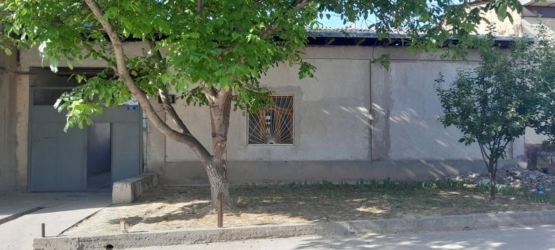 Koksaroy institute mahala Koksaroy institute mahala