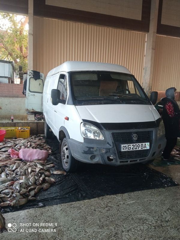 Gazel yuk furgoni