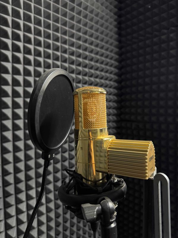 Warm Audio WA-8000 Limited Edition Gold Warm Audio WA-8000 Limited Edition Gold