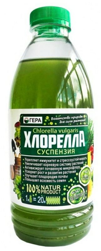 Хларела живая органическоя