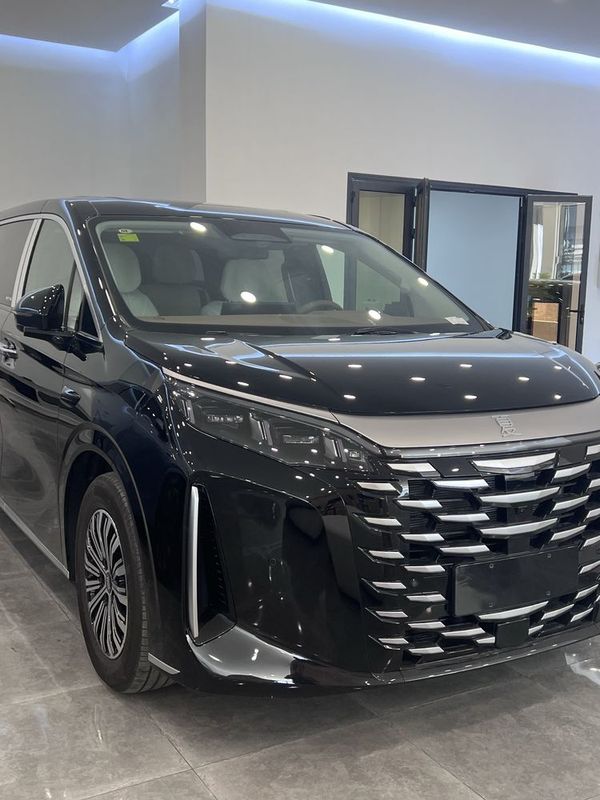 BYD XIA Excellent BYD XIA Excellent