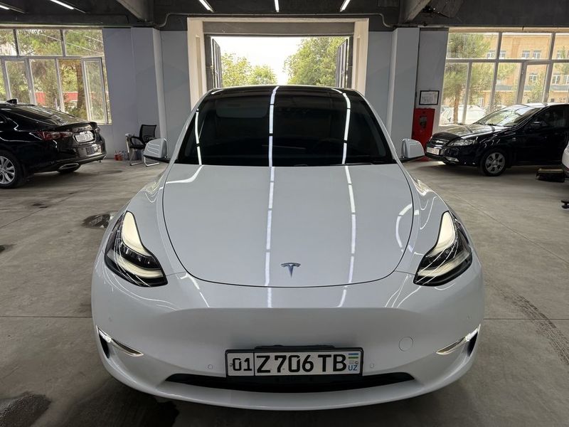 Tesla Model Y Dual Mator Long rang