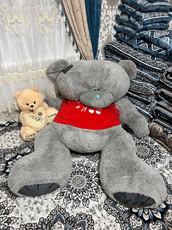 Teddy ayiq 800 mingga sotiladi Teddy ayiq 800 mingga sotiladi
