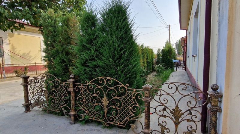 Катеж сотилади 4 хона