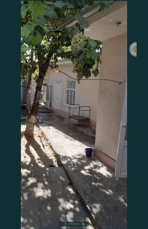 Yangiyoʻl sentrida xovli sotiladi srochni Yangiyoʻl sentrida xovli sotiladi srochni