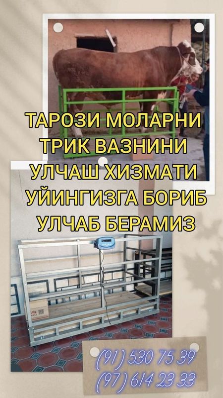 Tarozi xizmati uyingizga borib oʻlchab beramiz Tarozi xizmati uyingizga borib oʻlchab beramiz