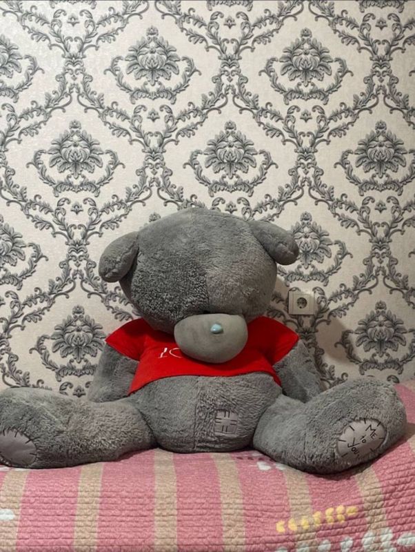 Teddy ayiq! Holati ideal Teddy ayiq! Holati ideal