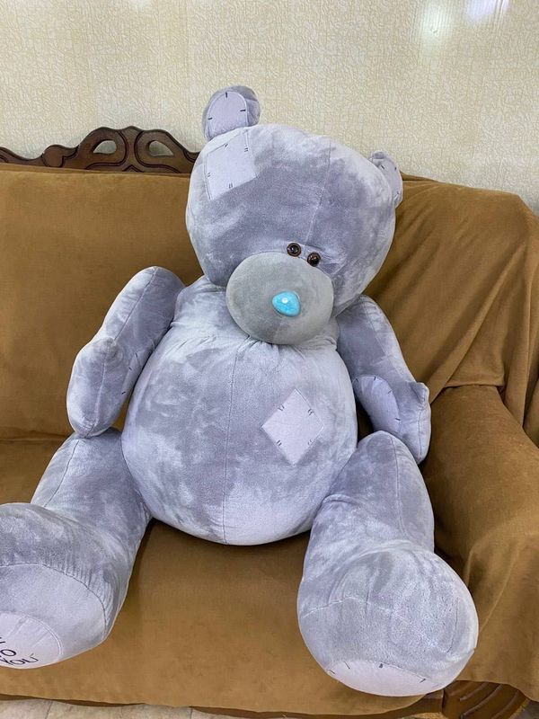 Мишка Teddy, Ayiq Teddy Мишка Teddy, Ayiq Teddy