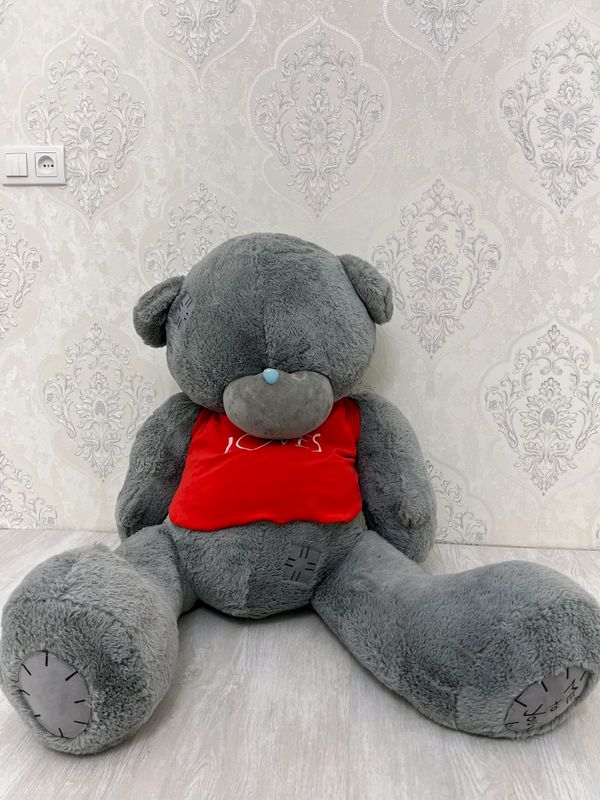 Teddy ayigʻi Teddy ayigʻi
