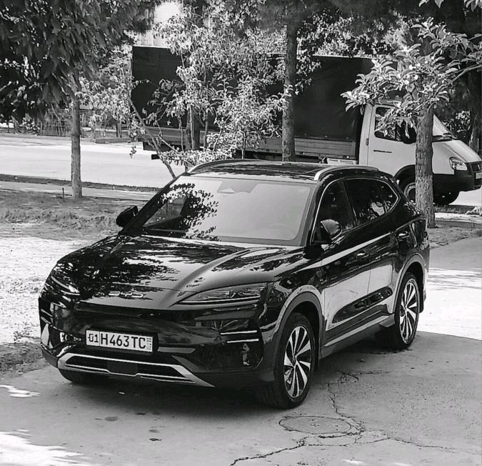 byd song plus cempion