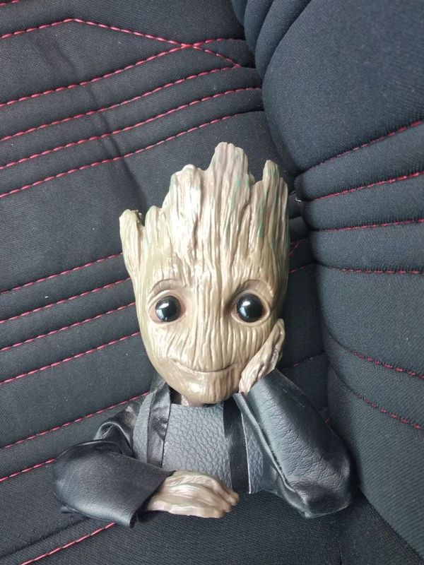 Groot срочно сотилади Groot срочно сотилади