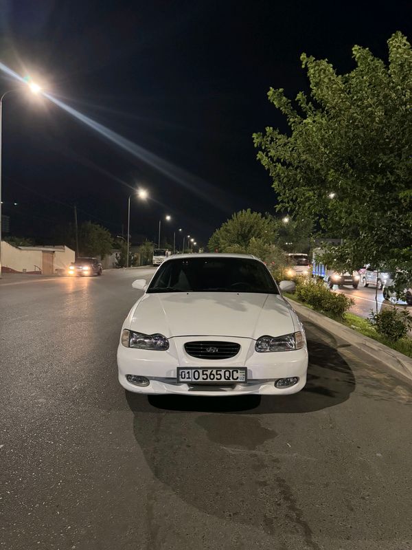 Hyundai sonata Y3