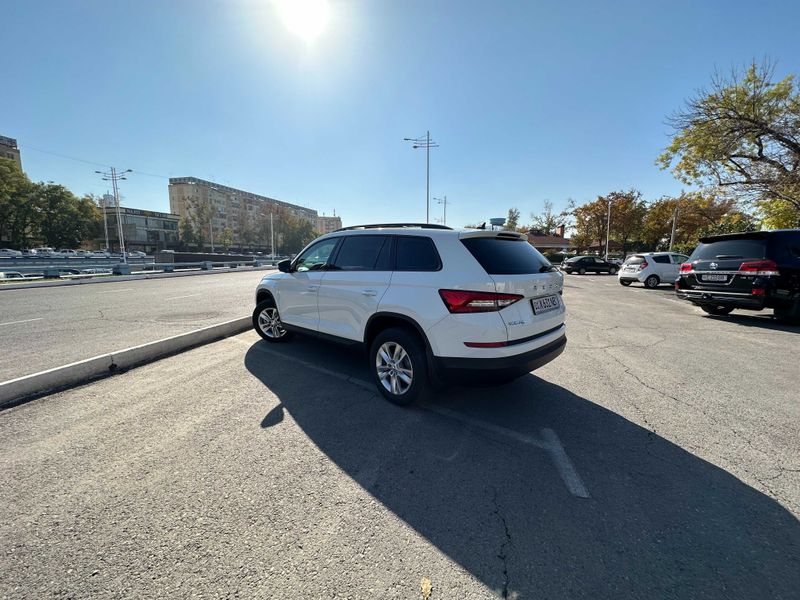 Skoda Kodiaq. Позиция Ambition