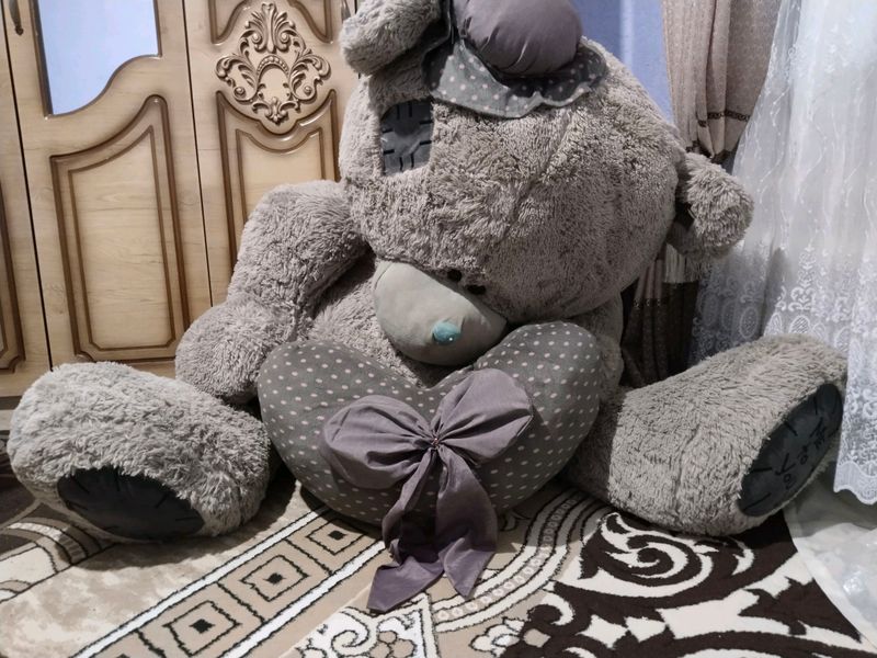 tedi tedi