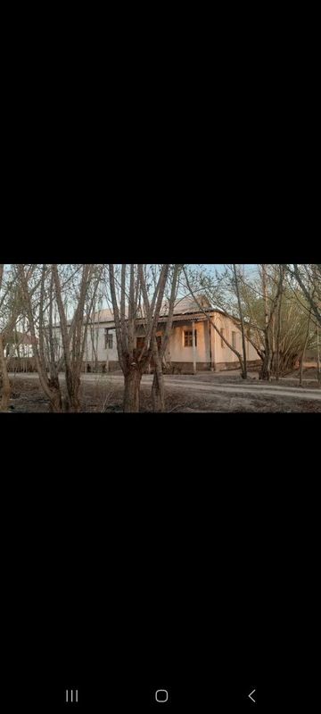 Пристинде уй сатылады Пристинде уй сатылады