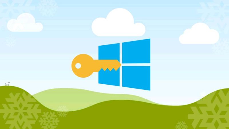 Windows Windows